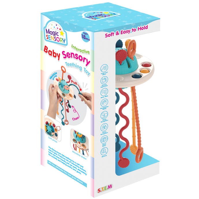 Interactive Baby Sensory Teething Toy